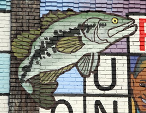 Largemouth Bass