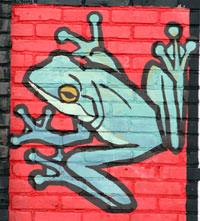 Green Tree Frog