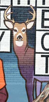 Buck Deer